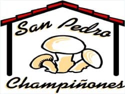 LOGO CHAMPIÑONES SAN PEDRO